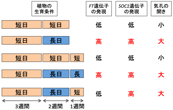 20190722kinoshita03.png