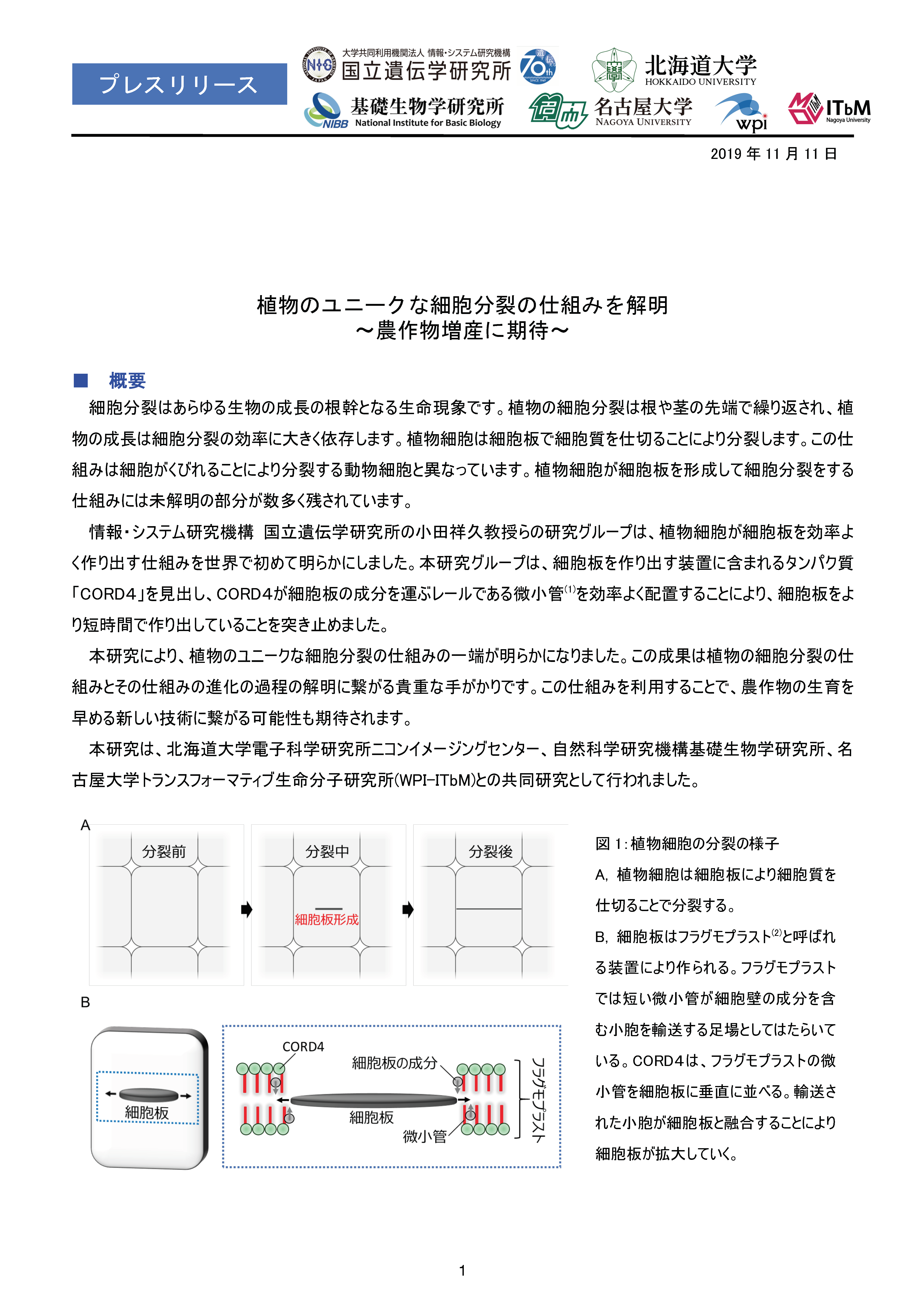 http://www.itbm.nagoya-u.ac.jp/ja_backup/research/20191111_Nakamura.png