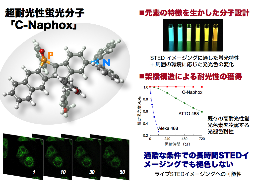 C-Naphox_JP_1.jpg