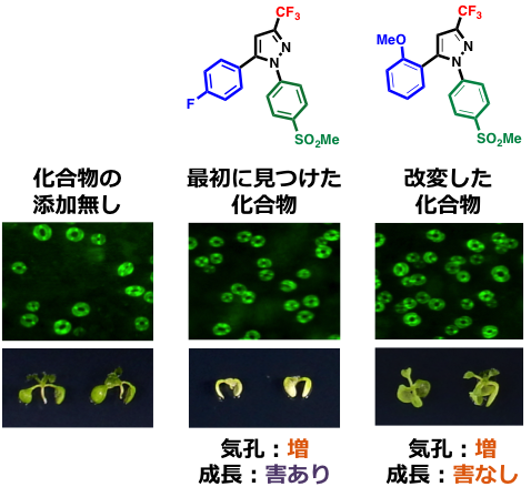 CC_Plants_Fig2.png