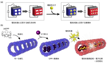 CPP-I_JP_Fig1.jpg