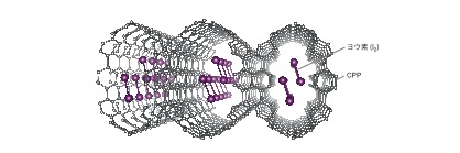 CPP-I_JP_Fig2.jpg