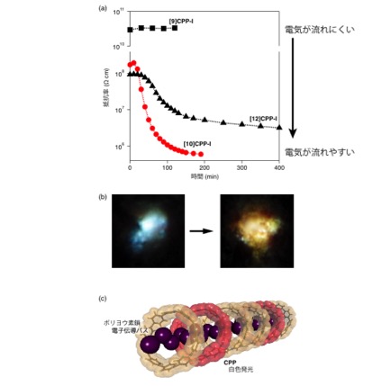 CPP-I_JP_Fig3.jpg