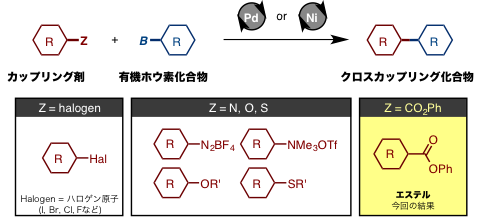 Fig1_SM_coupling_JP.png