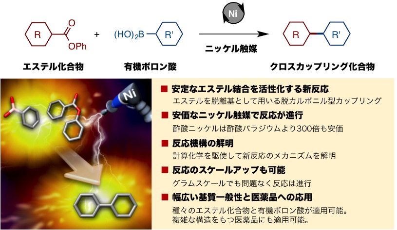 Fig1_SM_coupling_Nicat_JP.jpg