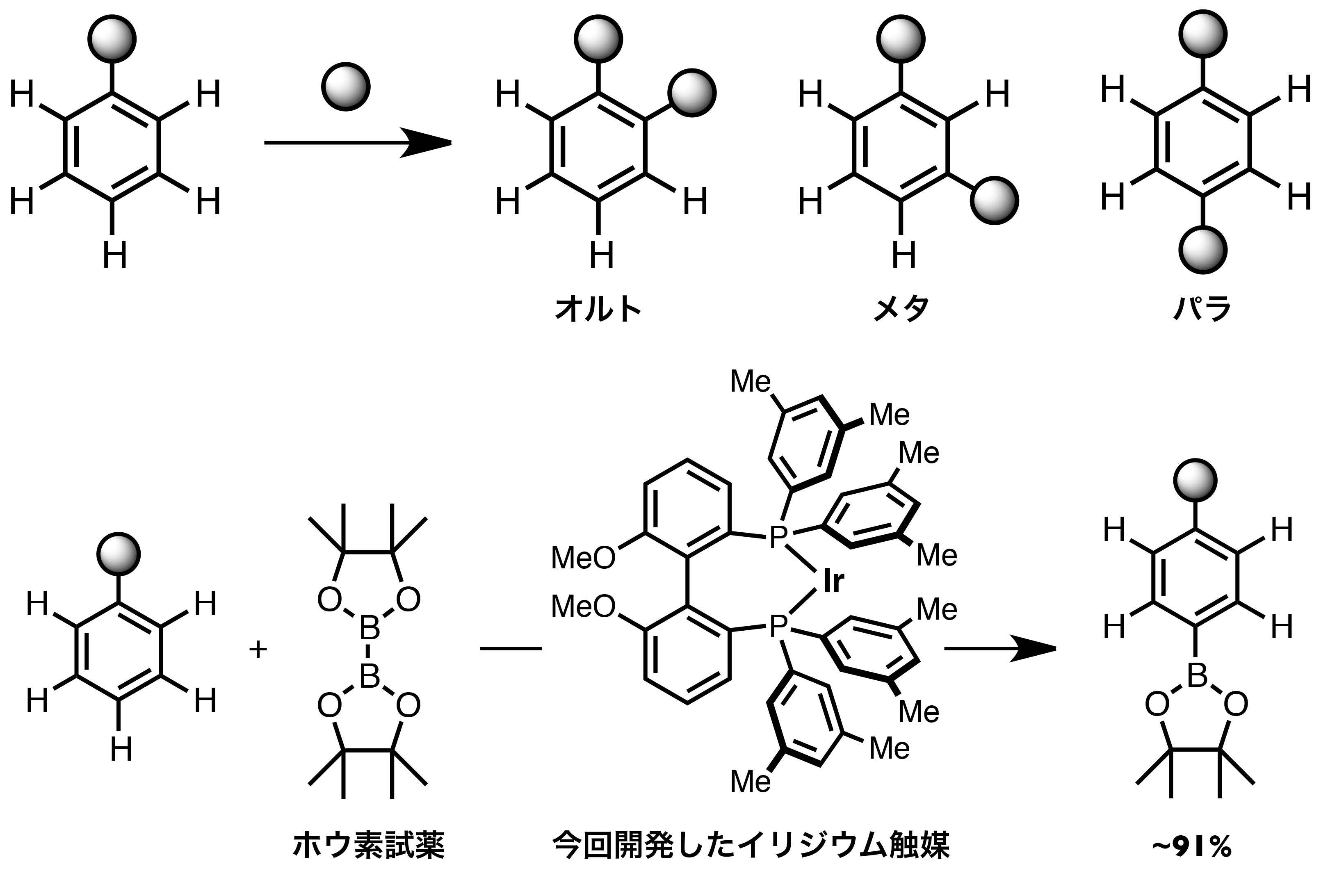 Fig2_ParaBoryl.jpg