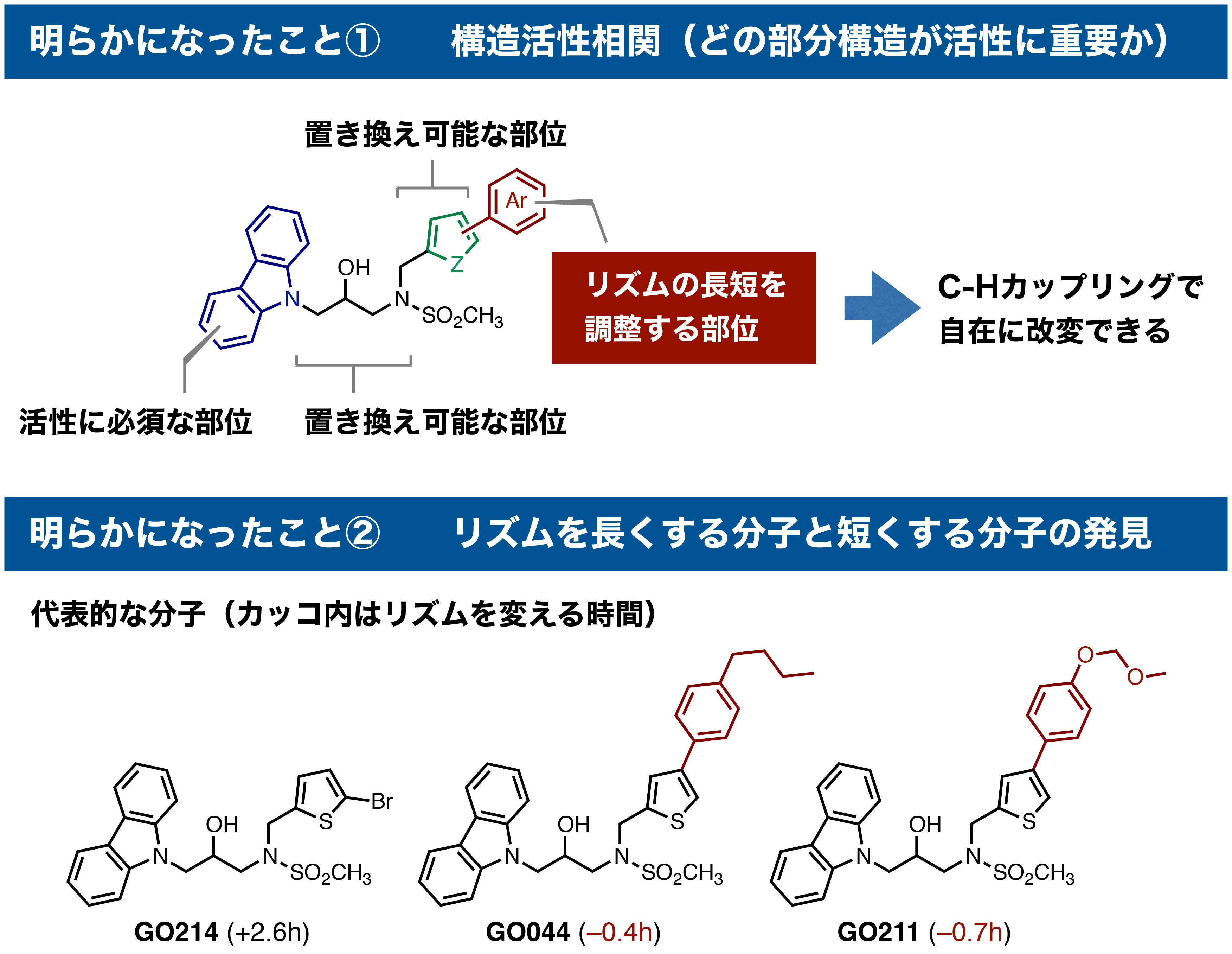 Fig3_ClockMolecules_JP.jpg