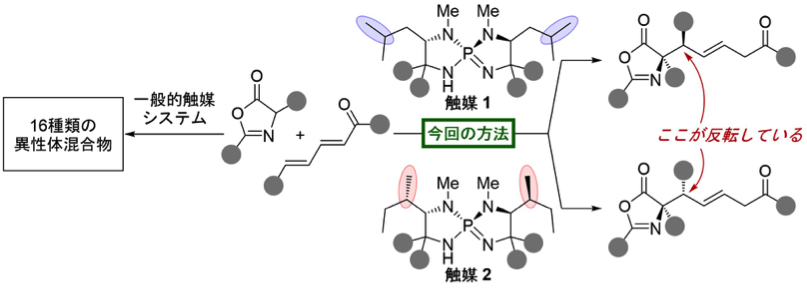 Figure1-1_NatComm_Cat_JP.png