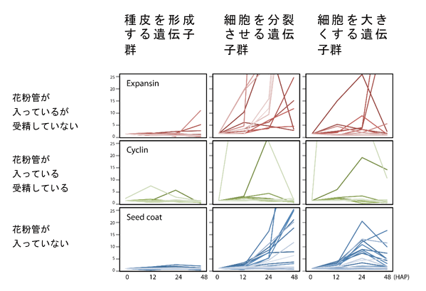 Figure2_POEM_JP.gif