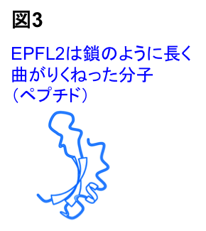 Figure3_Leaf_JP.png