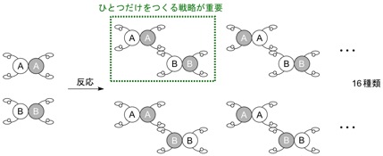Figure3_NatComm_Cat_JP.jpg