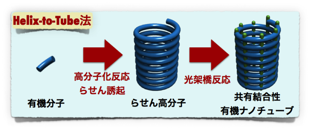 Figure3_ONT_JP.png