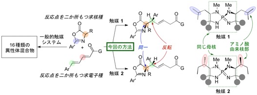 Figure4_NatComm_Cat_JP.jpg