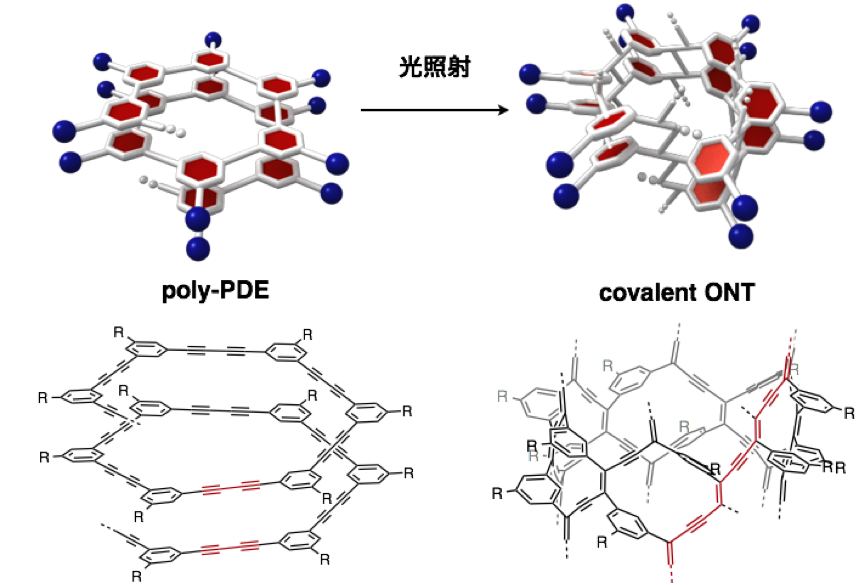 Figure5_ONT_JP.png