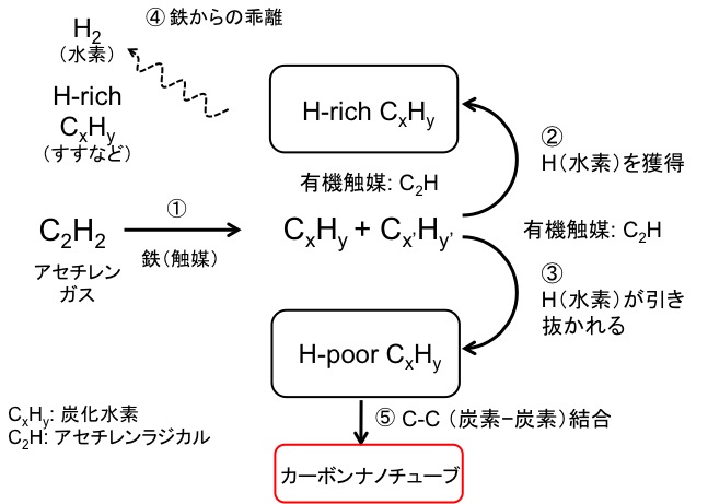 Figure_MechanismJP.jpg