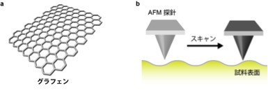 Graphene_Fig2.jpg