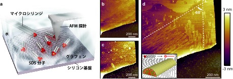 Graphene_Fig3.jpg