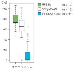 Kamaitachi_Fig2_JP.jpg