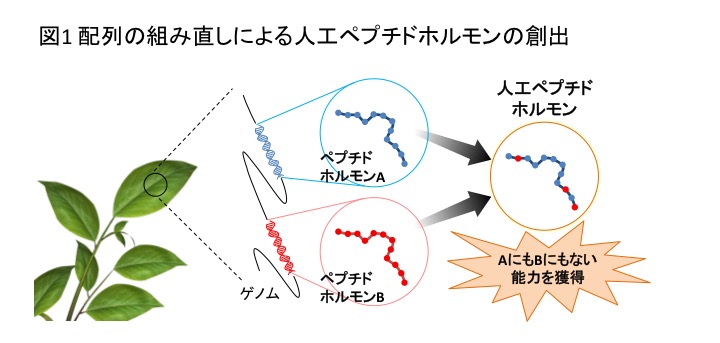 PlantPeptide_Fig1_JP.jpg