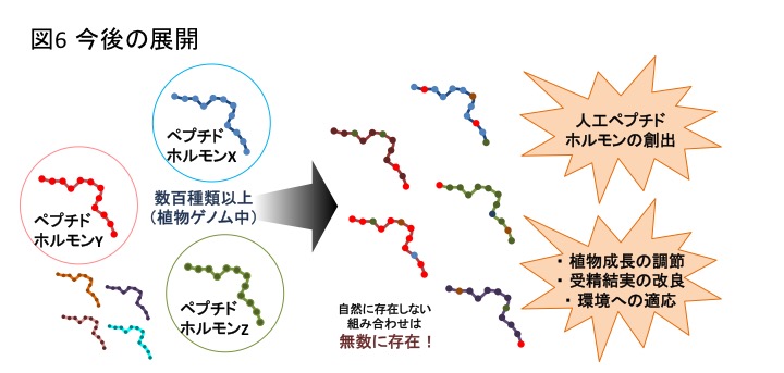 PlantPeptide_Fig6_JP.jpg