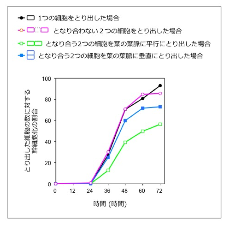 SciRep_Cell_Fig.2.png