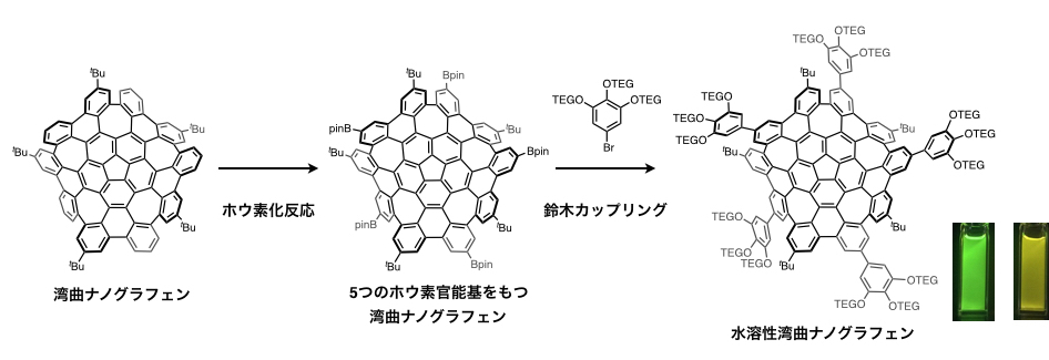 WSWNG_Fig2_JP.jpeg