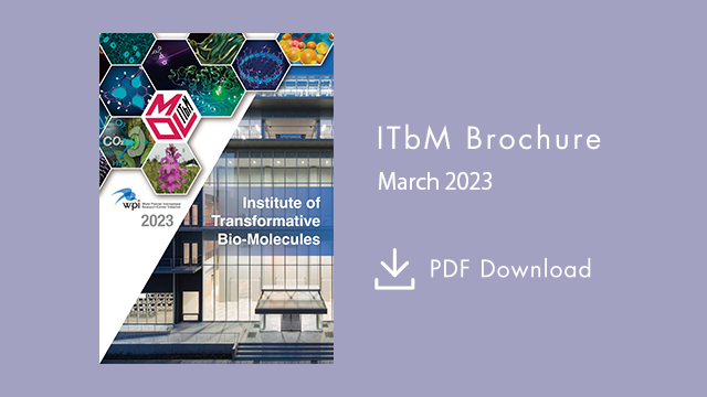 2023_ITbM_Brochure