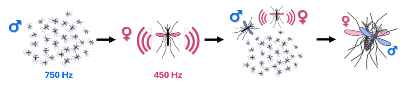 Figure 1.png