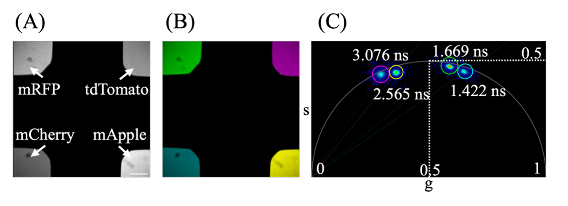 Figure 1.png