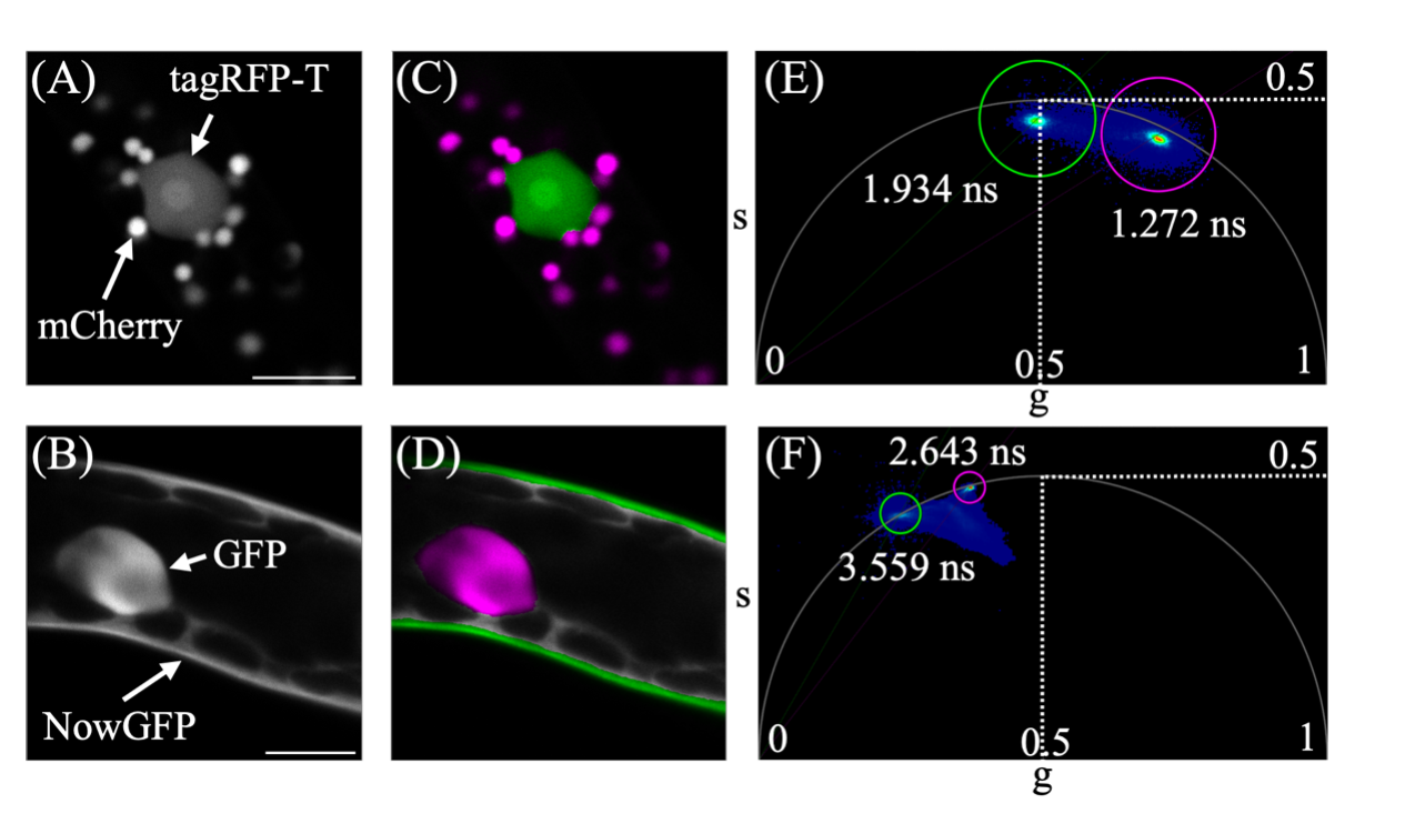 Figure 2.png