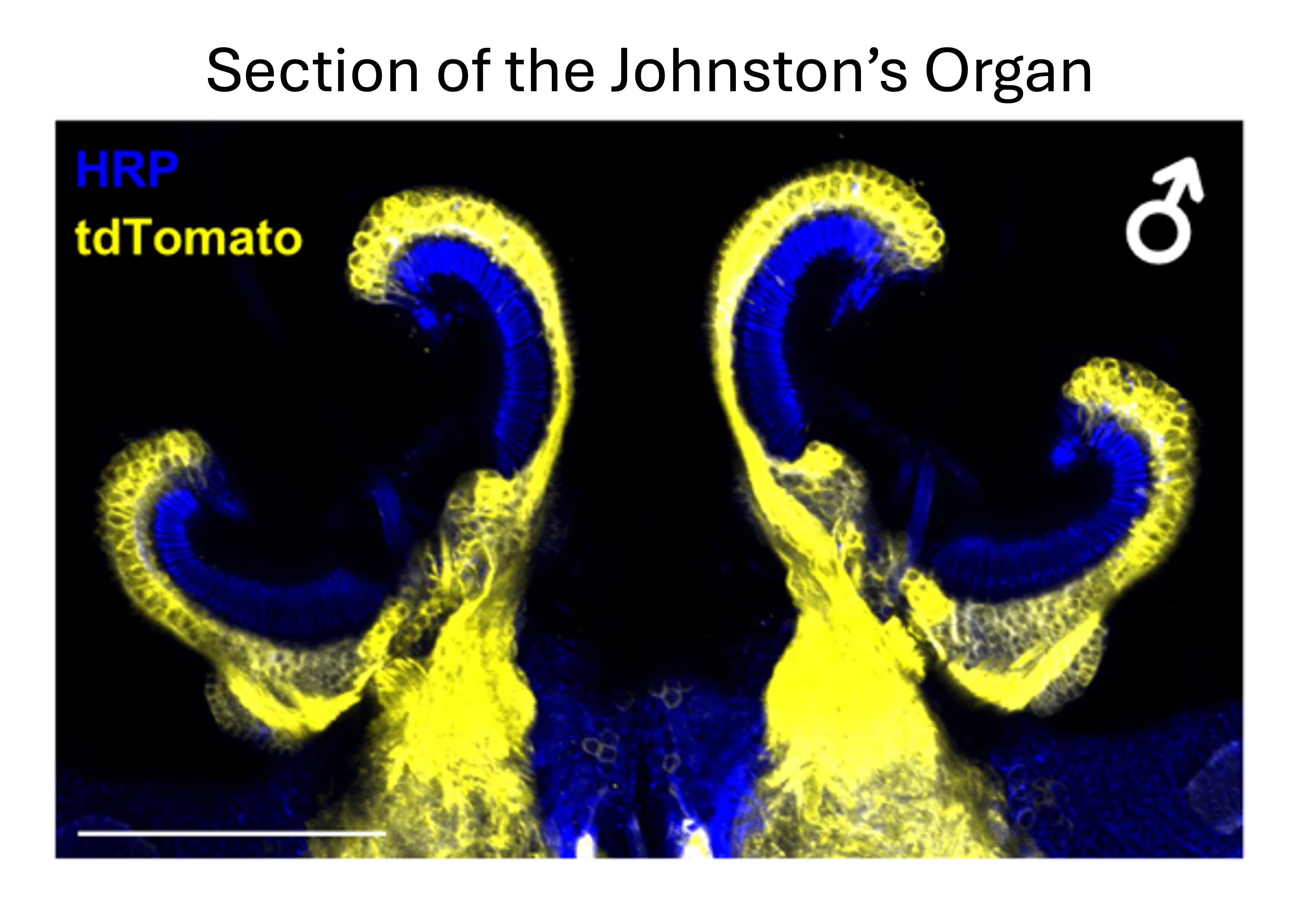Figure 4.jpg