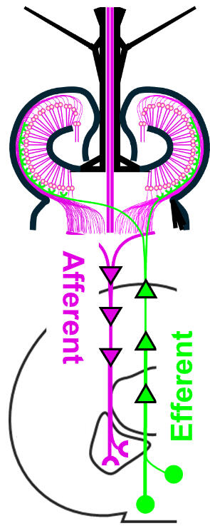 Figure 5.jpg