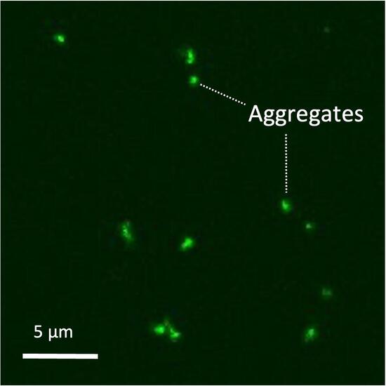 Figure 2.jpg
