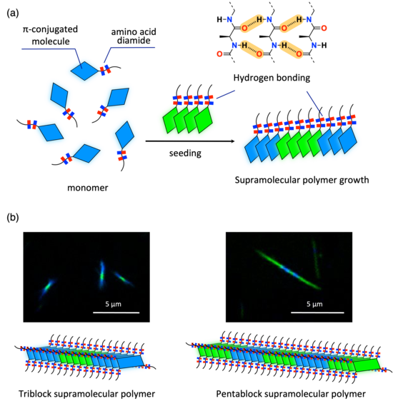 Figure 4.png