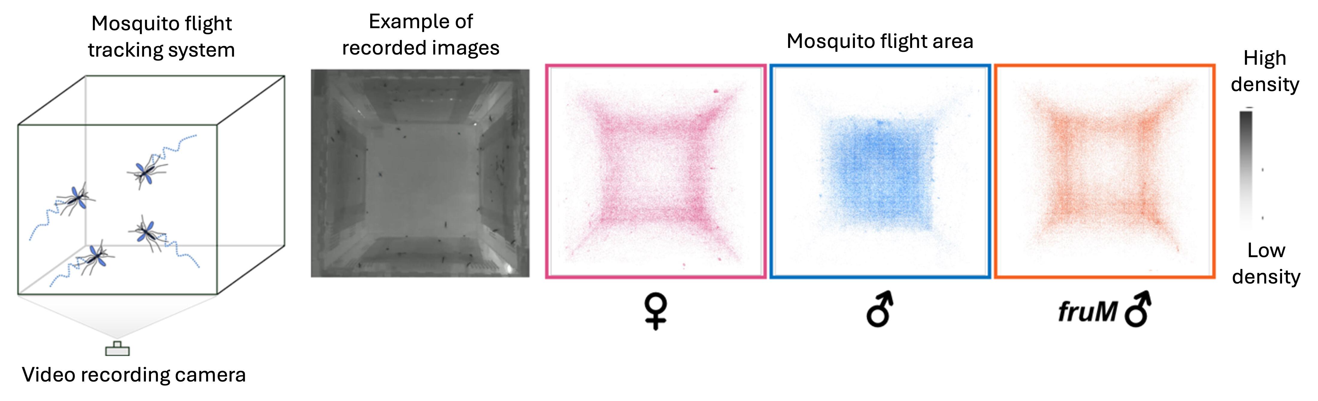 Figure 3.jpg