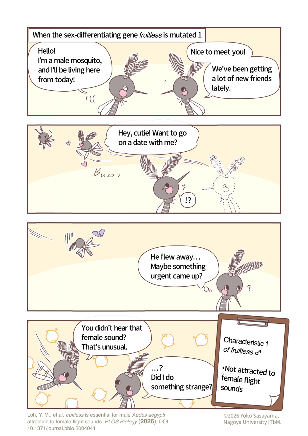 mosquito_manga_fruitless_en1.png