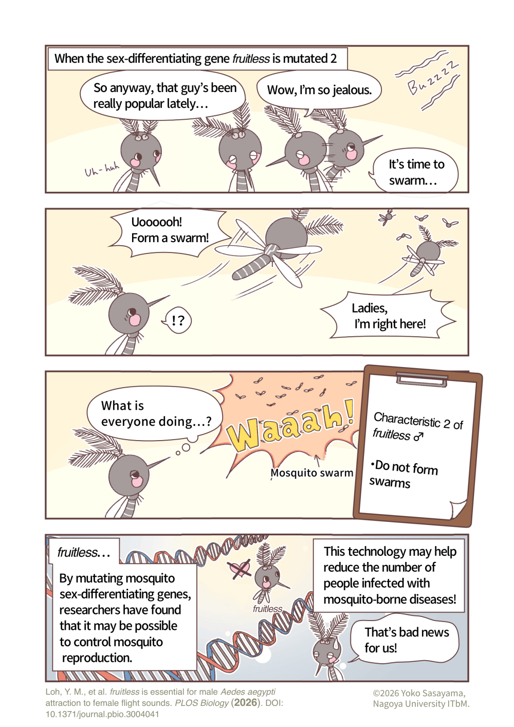 mosquito_manga_fruitless_en1.png