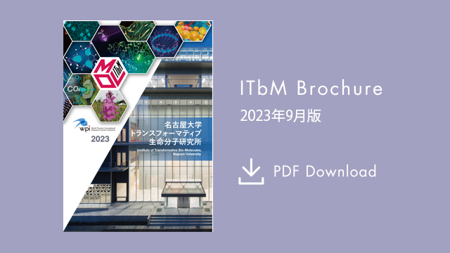 ITbM PDFダウンロード