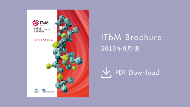 ITbM PDFダウンロード