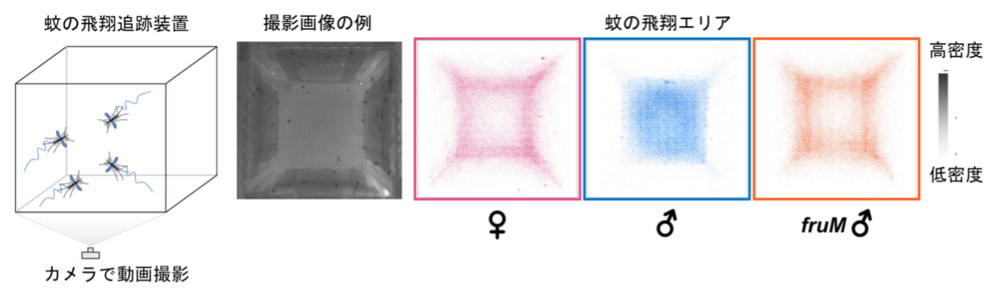 Figure 3 Japanese.png