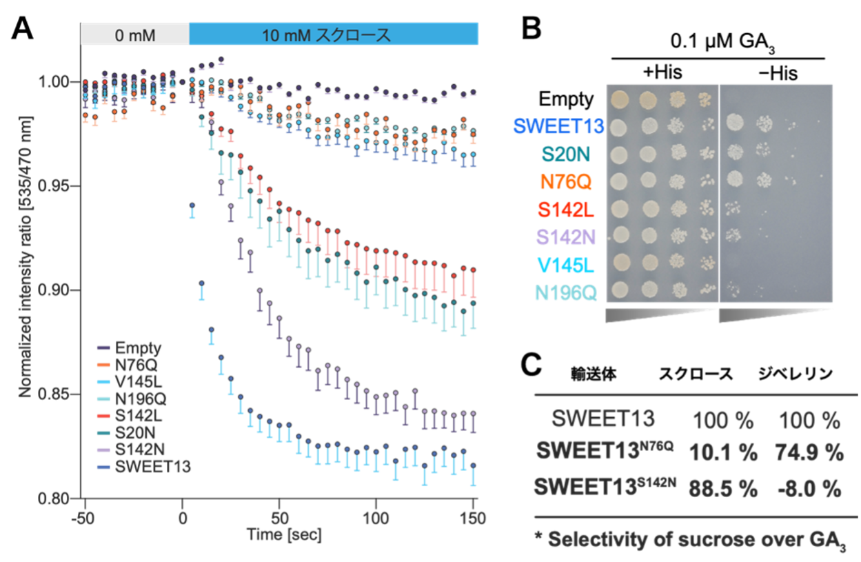 図2.png