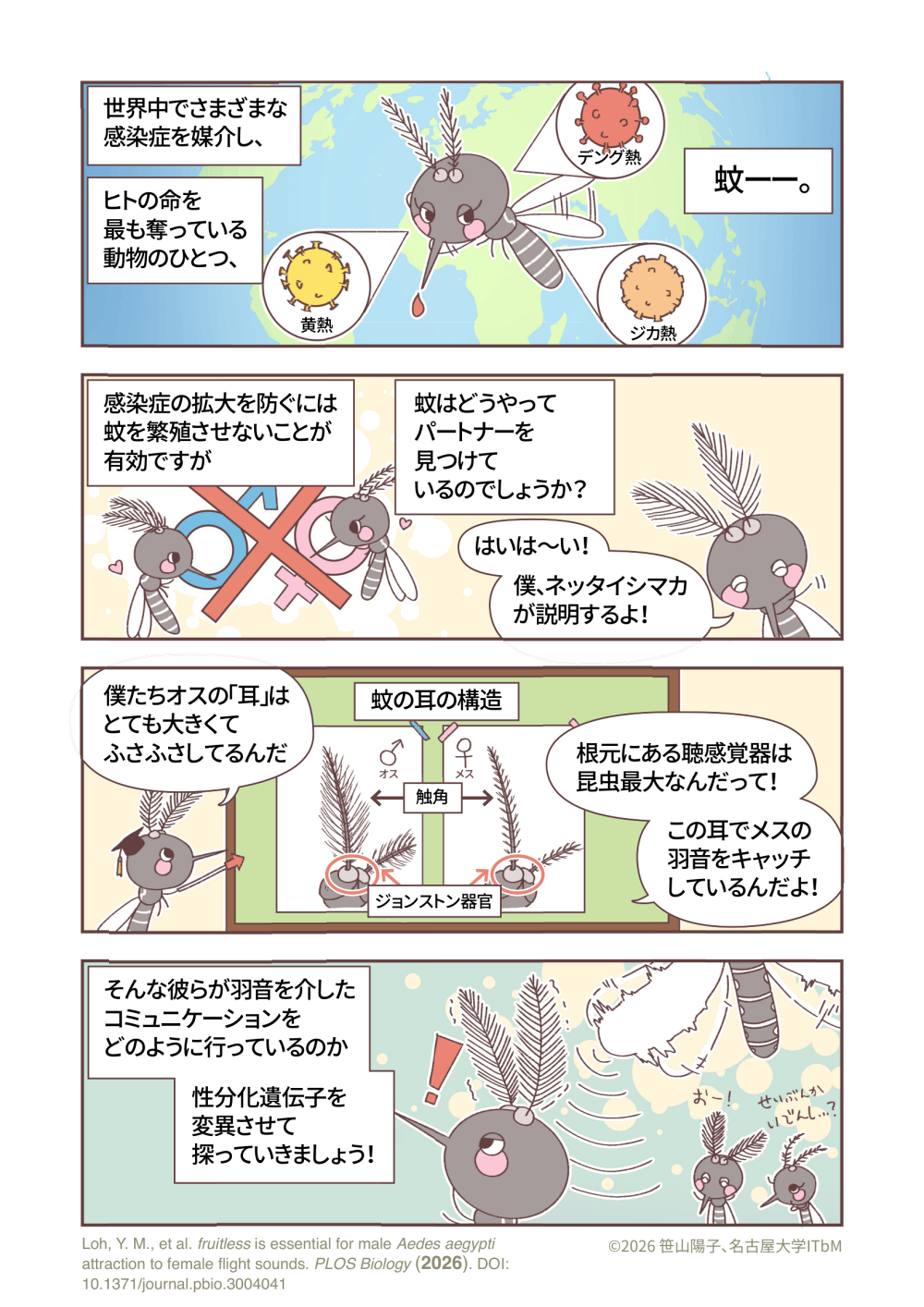 mosquito_manga_fruitless_ja1.png