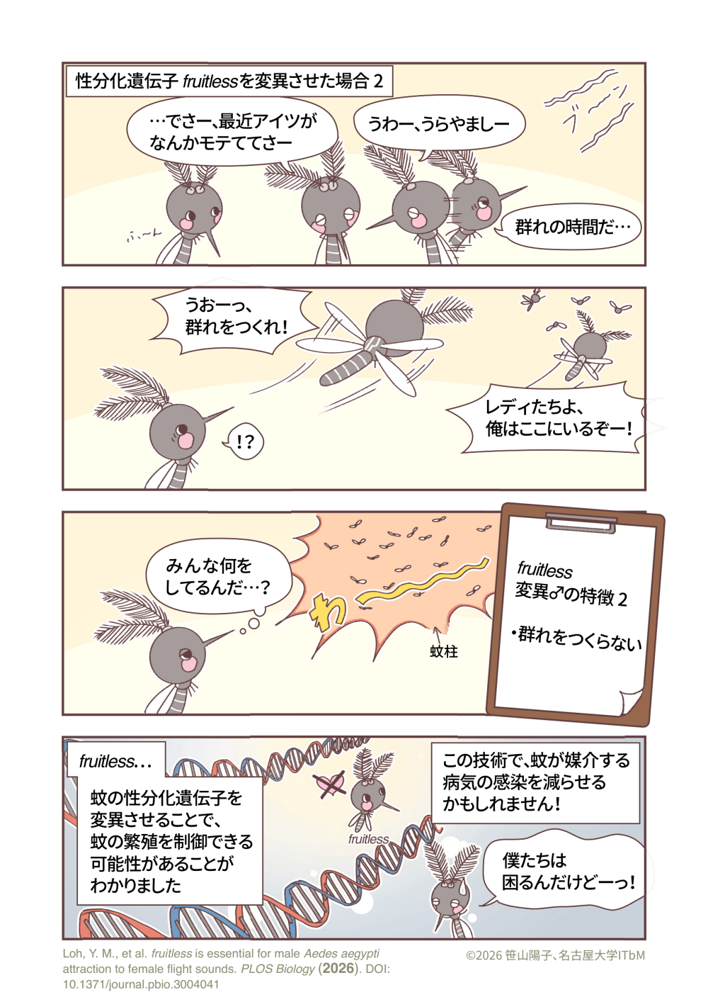 mosquito_manga_fruitless_ja3.png
